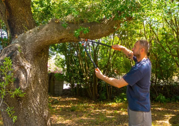 Homem usa as tesouras em um jardim — Fotografia de Stock