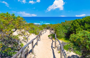 Sahilde denize doğru yol