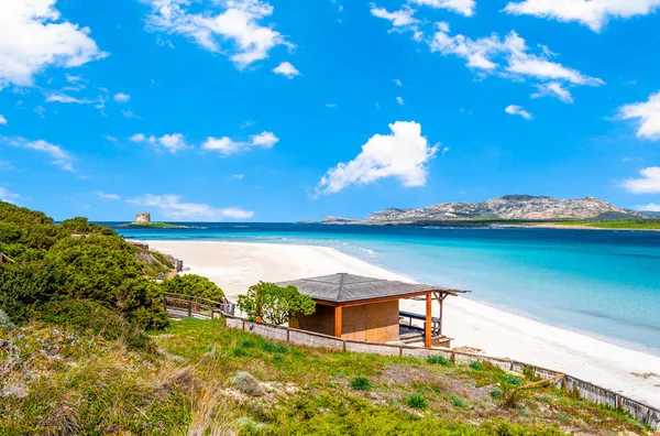 Stintino Sardunyalı beach görünümünü