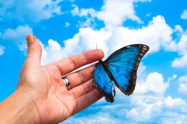 Kelebek ile izole el