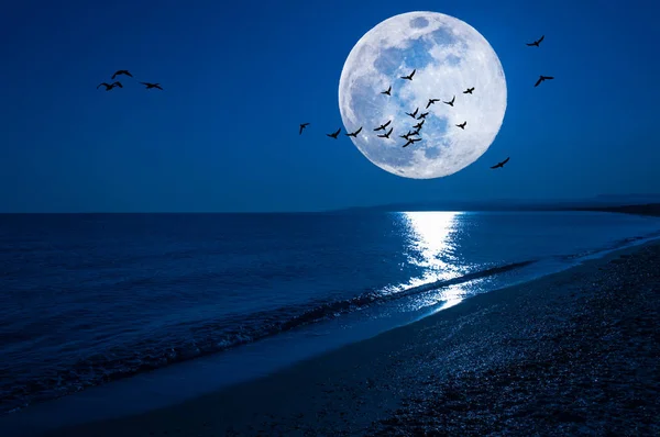 Fantasía noche paisaje marino con super luna y aves voladoras — Foto de Stock