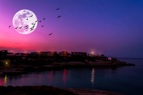 Mořskou krajinu při purpurovém slunci na pobřeží — Stock fotografie