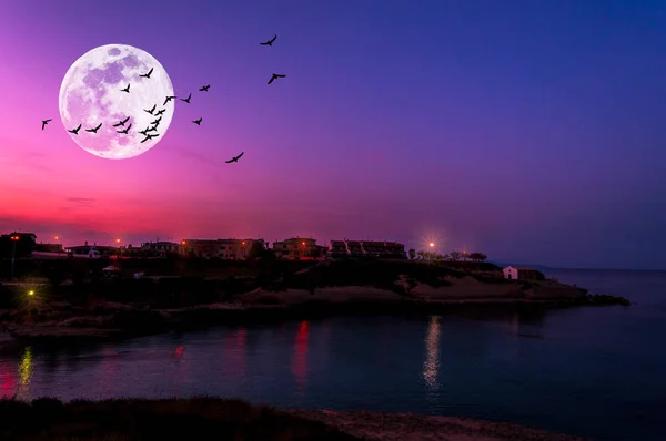 Paisaje marino al atardecer púrpura de la costa — Foto de Stock