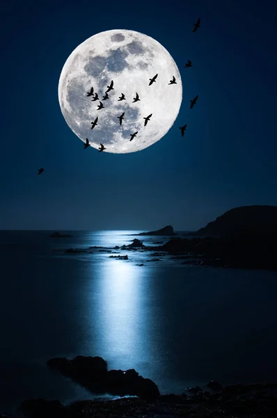 Paisaje nocturno en la costa con super luna — Foto de Stock
