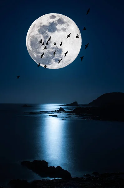 Süper ay ile sahilde gece manzara