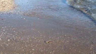 Bir yaz sabahı sahilde deniz suyunun yavaş akışı.