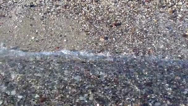 여름철 아침에는 해변에서 천천히 움직이는 바닷물 — 비디오