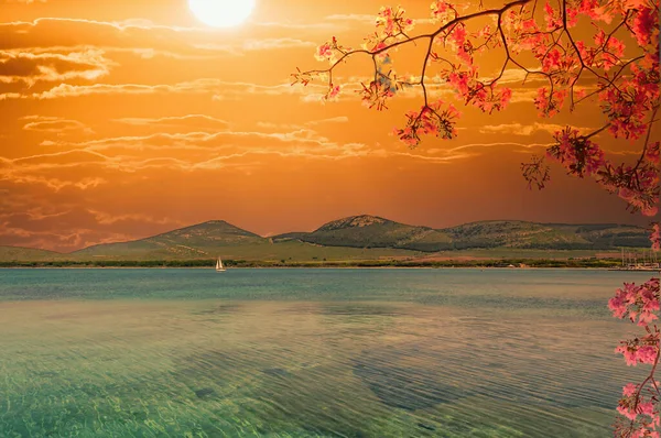Küstenlandschaft Mit Dramatischem Sonnenuntergang Und Roten Blumen — Stockfoto