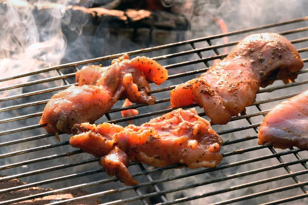 Filetes Pollo Una Parrilla Sobre Una Fogata Humo Blanco Carne — Foto de Stock