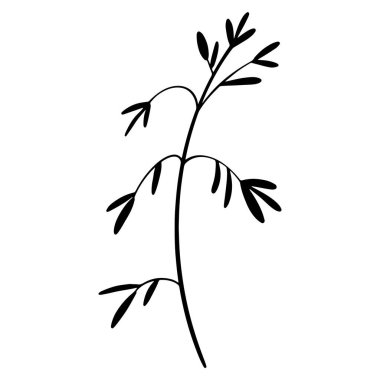 Yaz çimlerinin tatlı dalı. Doodle siluet dijital sanat düz konum, üst görünüm. Paket kağıdı, ambalaj kağıdı, kumaş, ağ, davetiye, düğün etiketleri için yazdır.