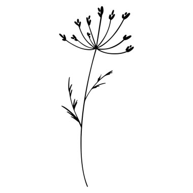 Çiçek tomurcukları olan tatlı bir yaz çimi dalı. Doodle siluet dijital sanat düz konum, üst görünüm. Paket kağıdı, ambalaj kağıdı, kumaş, ağ, davetiye, düğün etiketleri için yazdır.