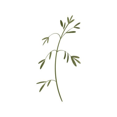 Şirin bir ot filizi. Dokusal dijital sanat düz konum, üst görünüm. Paket kağıdı, ambalaj, kumaş, dekorasyon, ağ, davetiye, düğün, pankart, çıkartma.