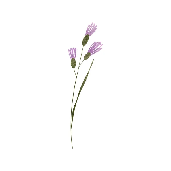 Cute Sprig Grass Violet Flowers Textural Digital Art Flat Position — Stock Photo, Image