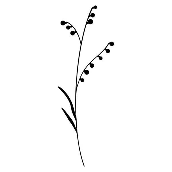 Cute Twig Summer Grass Flower Buds Doodle Contour Silhouette Digital — Stock Photo, Image