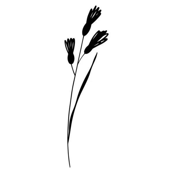 Çiçek tomurcukları olan tatlı bir yaz çimi dalı. Doodle siluet dijital sanat düz konum, üst görünüm. Paket kağıdı, ambalaj kağıdı, kumaş, ağ, davetiye, düğün etiketleri için yazdır.