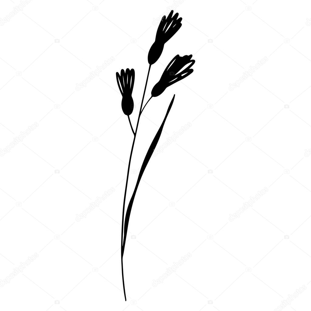 Cute twig of summer grass with flower buds. Doodle contour silhouette digital art flat position, top view. Print for wrapping paper, wrapping, fabrics, web, invitation, wedding, stickers.