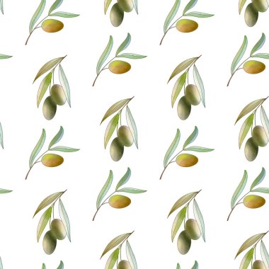 Beyaz arka planda yeşil zeytin karesinin sade dalları. Suluboya dijital sanat. Kumaş, ambalaj, ambalaj kağıdı, kafe, menü, mutfak, tebrik kartı, düğün