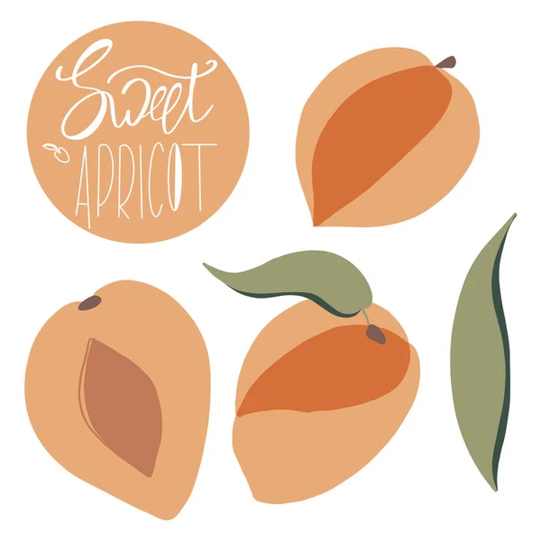 Zacht Oranje Platte Set Van Zoete Abrikoos Half Fruit Met — Stockfoto