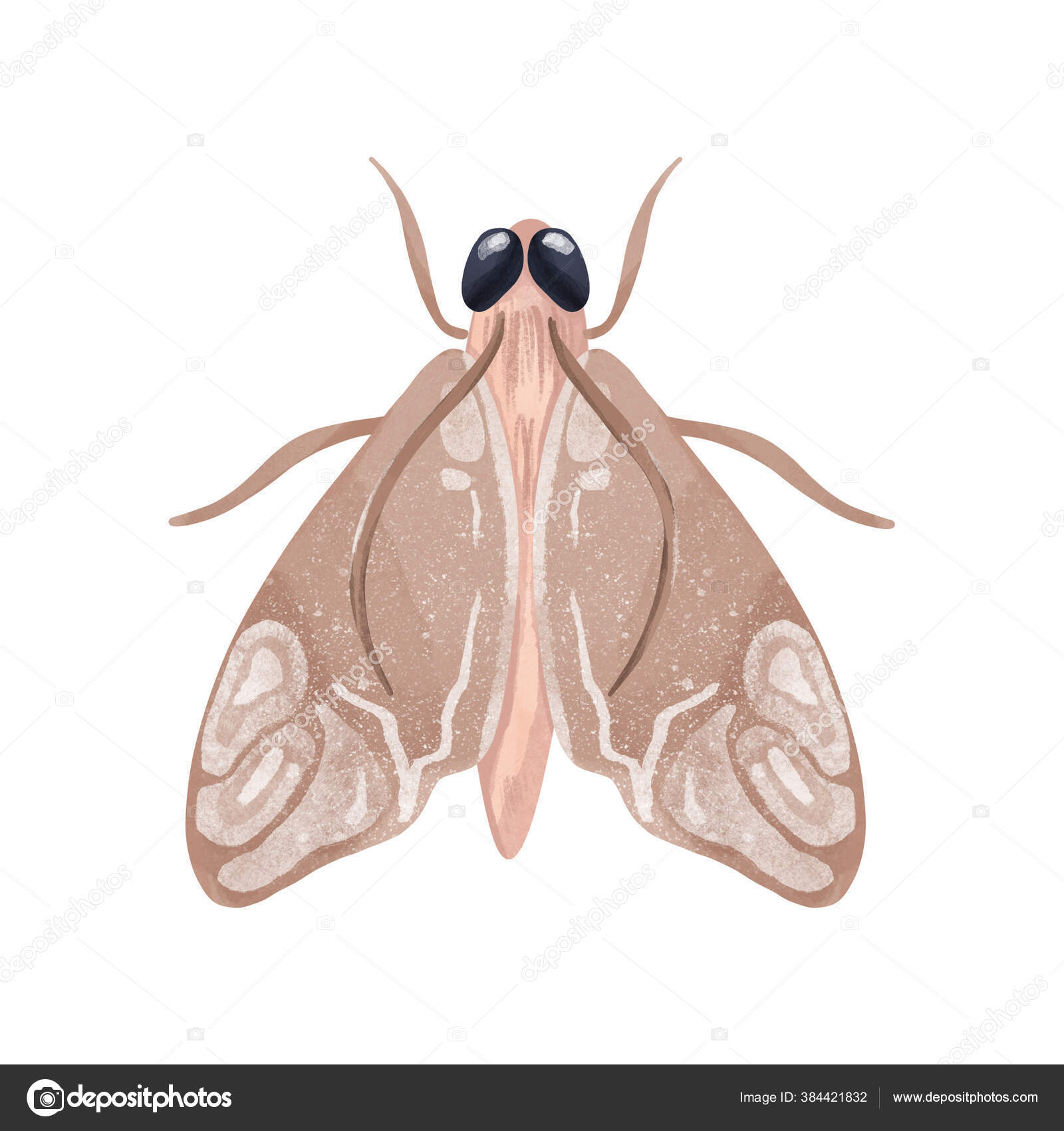https://st4.depositphotos.com/33375004/38442/i/1600/depositphotos_384421832-stock-illustration-cute-beige-moth-butterfly-antennae.jpg