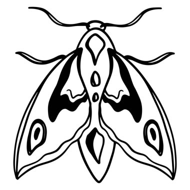 Sevimli kelebek üst görünümü izole. Dijital karalama sanatı. Etiket, kumaş, dekor, tekstil, tebrik kartı, davetiye, düğün, dövme, boyama sayfaları için yazdır.