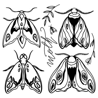 Ağaç dalları ve çiçek desenli kelebekli şirin bir kelebek. Dijital karalama sanatı. Etiket, kumaş, dekor, tekstil, tebrik kartı, davetiye, düğün, dövme, boyama sayfaları için yazdır.