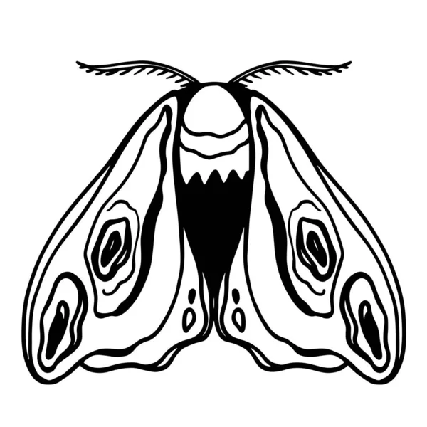 Lindo Mariposa Mariposa Vista Superior Aislar Garabato Digital Esbozar Arte — Foto de Stock