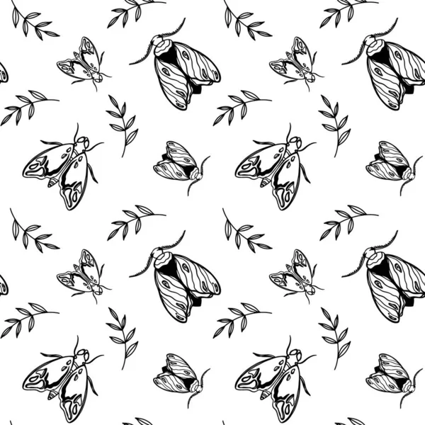 Cute Vintage Moths Antennae Top View Square Seamless Pattern White — Stock Photo, Image