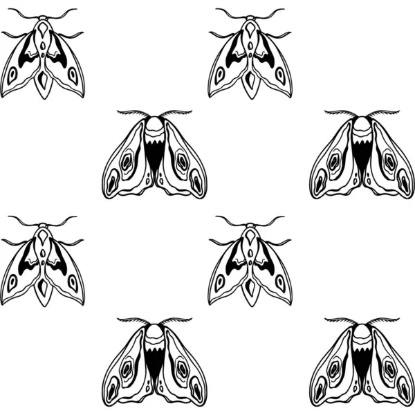 漂亮的老式飞蛾 触角顶部视野正方形无缝图案白色背景 数码涂鸦概述艺术 包装纸 邀请函 婚纱印刷 — 图库照片