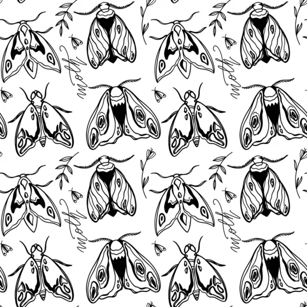 Cute vintage moths with antennae top view square seamless pattern on white background. Digital doodle outline art. Print for cards, wrapping paper, packaging, invitation, wedding