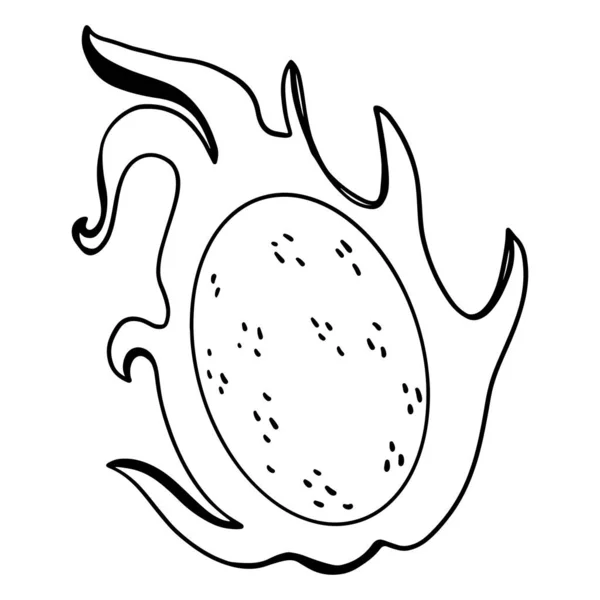 Kawaii Halve Pitaya Cactus Fruit Bovenaanzicht Digitale Doodle Outline Kunst — Stockfoto