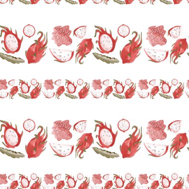 Sulu kawaii pitaya kaktüsü bütün ve kes. Beyaz arka planda kareli, pürüzsüz desenli kenar. Dokusal suluboya düz dijital sanat. Paketleme, ambalaj kağıdı, kumaş, menü, mutfak için yazdır.