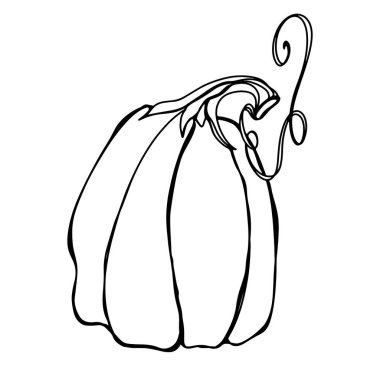 Sapı olan sevimli kawaii kabağı modası. Contour Doodle dijital sanat eskizi. Kartpostal baskısı, afiş, davetiye, çıkartma, kumaş, ambalaj, sonbahar tatili, sosyal medya paylaşımı, röfle