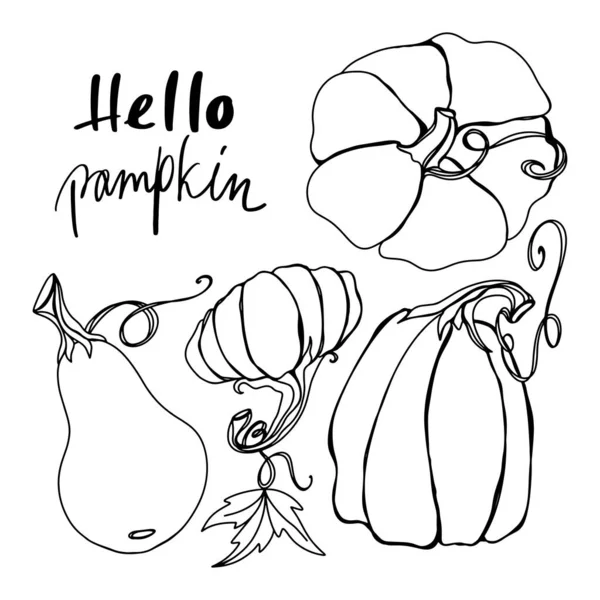 Lindo Kawaii Calabaza Establecer Tendencia Con Tallo Dibujo Garabatos Contorno — Foto de Stock