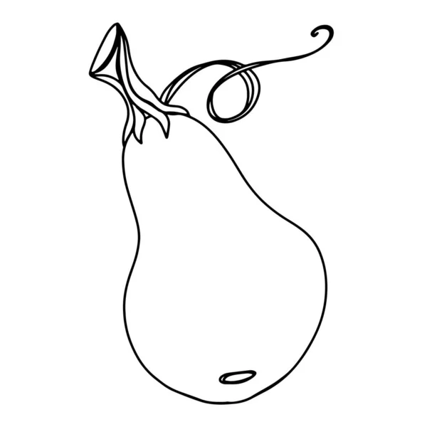 Tendência Abóbora Kawaii Bonito Com Caule Contorno Doodle Esboço Arte — Fotografia de Stock