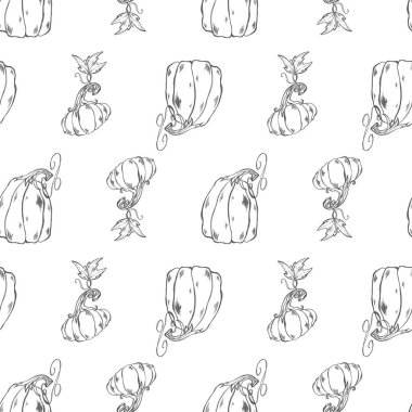 Şirin kawaii muhteşem beyaz balkabağı kare desenli beyaz arka planda dikişsiz. Dokulu dijital kalem eskiz sanatı. Tekstil, ambalaj, marka, ambalaj kağıdı, duvar kağıdı, mutfak, menü için yazdır