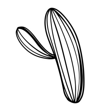 Beyaz arka planda izole edilmiş sevimli kawaii ölüm kaktüsü. Karalama dijital sanat taslağı. Pankart, boyama sayfası, ambalaj, davet, ambalaj kağıdı, tekstil