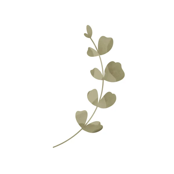 Kawaii Eucalyptus Sprig很可爱纹理平面数字艺术 印刷贴纸 社交媒体邮件 邀请函 包装纸 — 图库照片