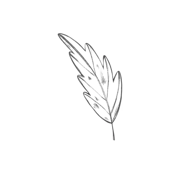 가오리의 가을에 익는다 문자로 스케치 디지털 스크랩북 초대장 스티커 — 스톡 사진