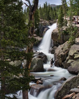 Alberta, Colorado 'daki Rocky Dağı Ulusal Parkı' nda uzun süre maruz kaldı. Renkli ağaçlar ve kayalık kayalıklar güzel şelalelerin etrafını sarıyor.