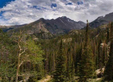 Rocky Dağı Ulusal Parkı Colorado 'da dağ yamacı ve dağ geçidi. Yürüyüş ve kamp için gidilecek yer. Güzel bir bakış..