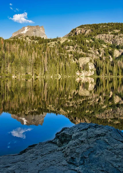 Lac Ours Dans Parc National Des Montagnes Rocheuses Colorado Reflet — Photo
