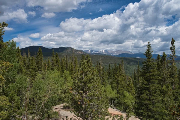 Vista Sobre Vasto Paisaje Pinos Álamo Montañas Rocosas Visibles Distancia — Foto de Stock