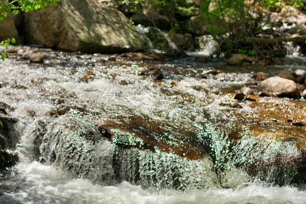 Pequena Cachoeira Floresta Colorado Parque Nacional Montanha Rochosa — Fotografia de Stock