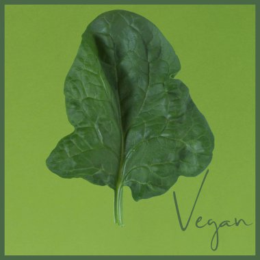 Taze yeşil yaprak ıspanak benzer (benzer renk) bir zemin üzerine yeşil gölge. Yaratıcı kavramı. Soyut fotoğraf. 