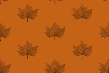 Akçaağaç yaprağı turuncu bir arka plan üzerinde şablonu. Akçaağaç yaprağı yama.