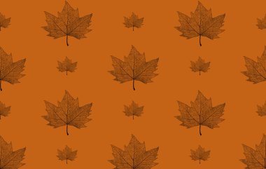 Akçaağaç yaprağı turuncu bir arka plan üzerinde şablonu. Akçaağaç yaprağı yama.