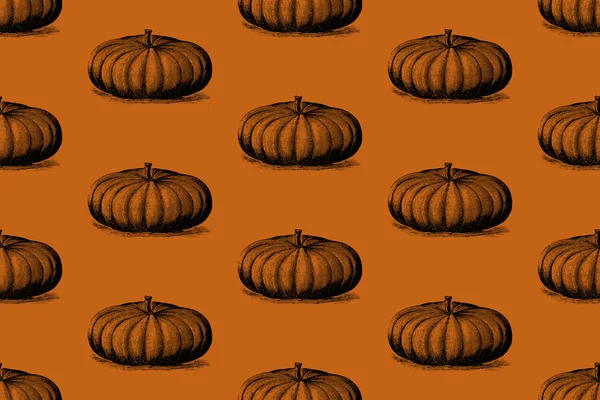 Kabak desen turuncu bir arka plan üzerinde. Kabak yama. Sarma kağıdı tasarım.