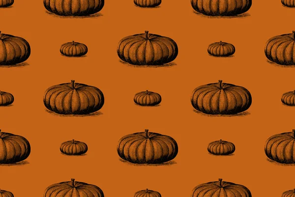 Kabak desen turuncu bir arka plan üzerinde. Kabak yama. Sarma kağıdı tasarım.
