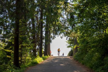 Sacro Monte (VA), İtalya - 01 Haziran 2020: Campo dei fiori bölge parkında bir yol, Varese, Lombardy, İtalya