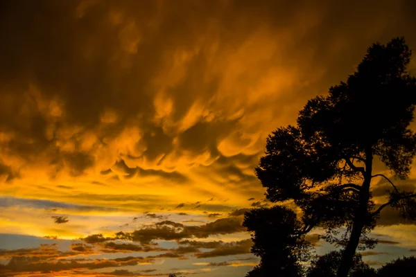 Alba Estiva Sulla Spiaggia Platja Llarga Tarragona Spagna — Foto Stock